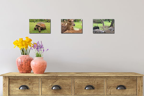Fotoleinwand Set 3 Stück 15x10 cm